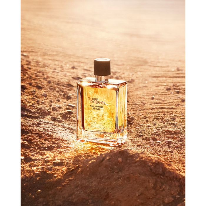 عطر تق هرمس از برند هرمس | Hermes Terre d’Hermes 100 ml (کپی)