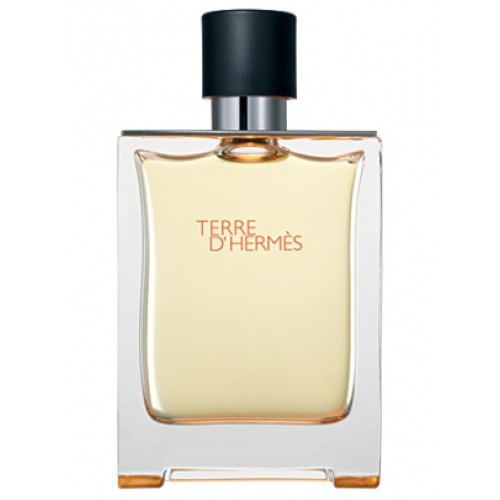 عطر تق هرمس از برند هرمس | Hermes Terre d’Hermes 100 ml (کپی)